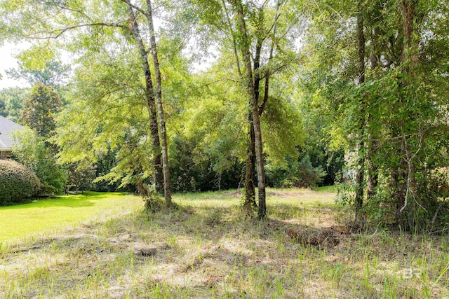 110 Ashton Ct, Fairhope AL, 36532 land for sale