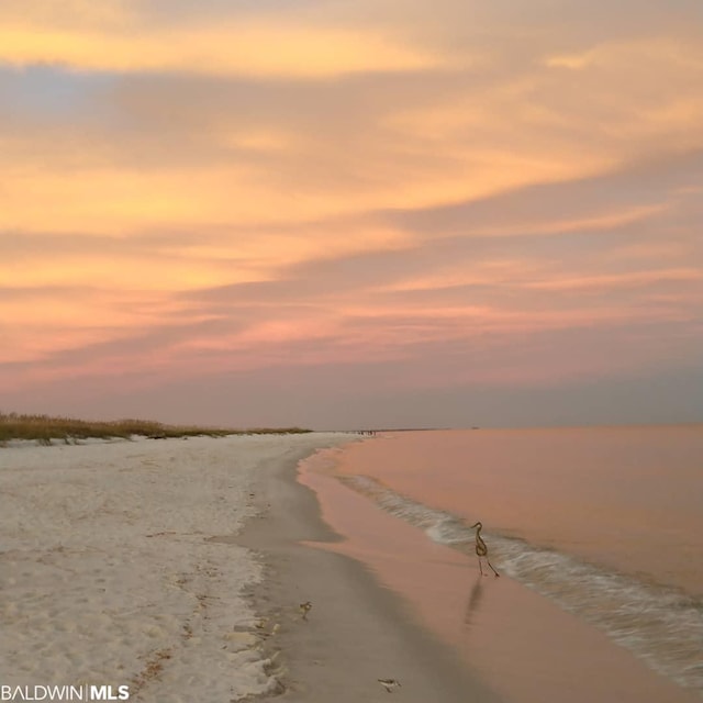 15082 County Road 93, Lillian, AL 36549 - property view of water with a view of the beach
