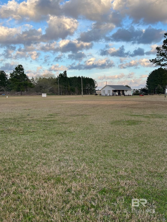 15082 County Road 93, Lillian, AL 36549 - view of yard