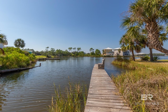 dock area featuring a water view