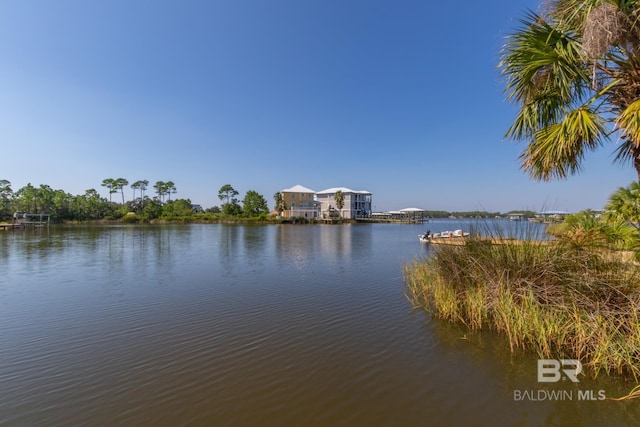 property view of water