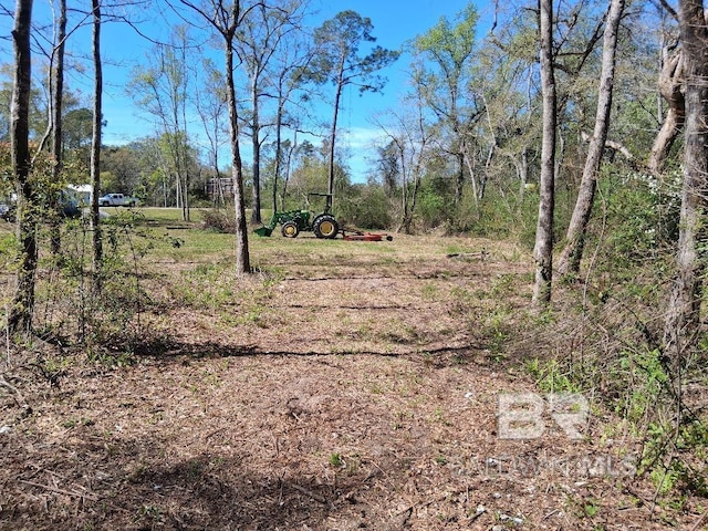 0000 US Highway 98, Foley, AL 36535