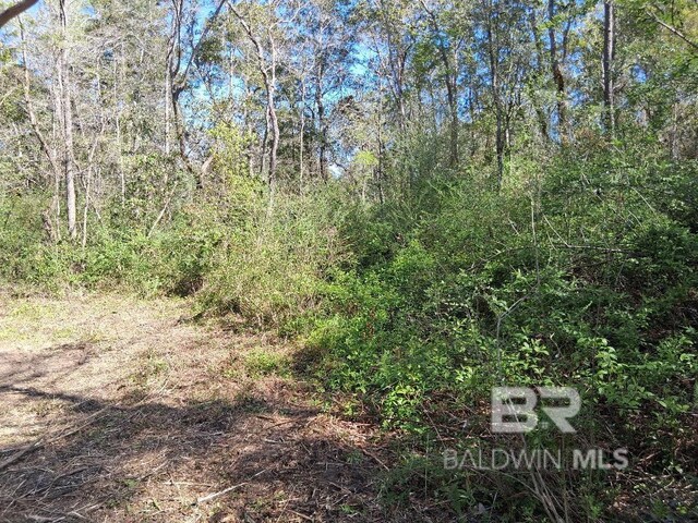 0000 US Highway 98, Foley, AL 36535