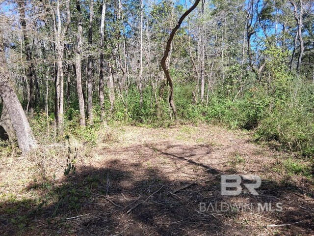 0000 US Highway 98, Foley, AL 36535