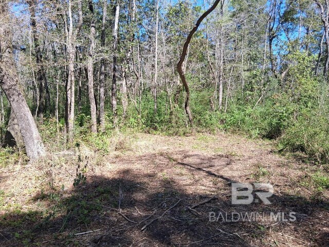 0000 US Highway 98, Foley, AL 36535
