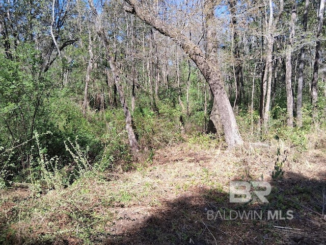 0000 US Highway 98, Foley, AL 36535