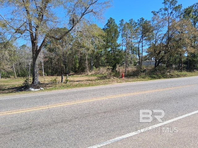 0000 US Highway 98, Foley, AL 36535