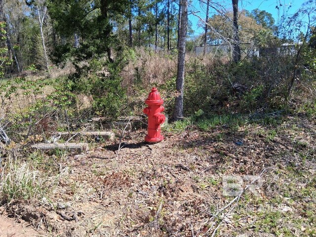 0000 US Highway 98, Foley, AL 36535