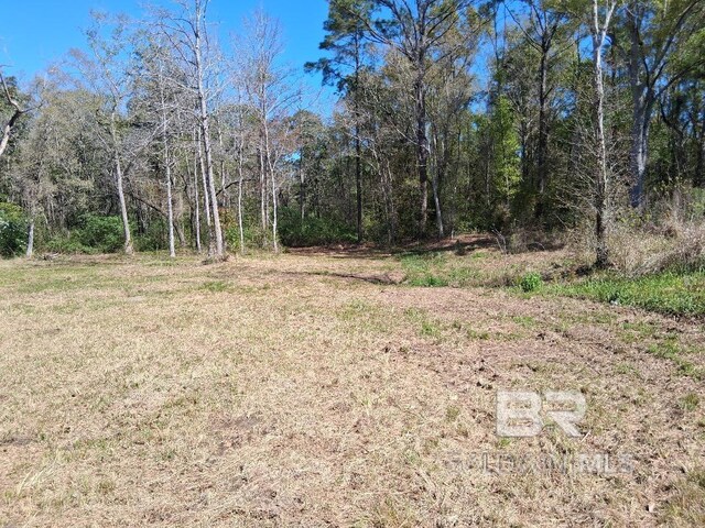 0000 US Highway 98, Foley, AL 36535