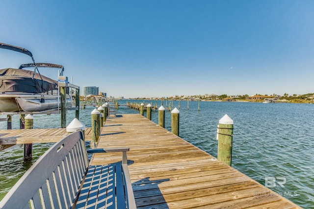 dock area with a water view