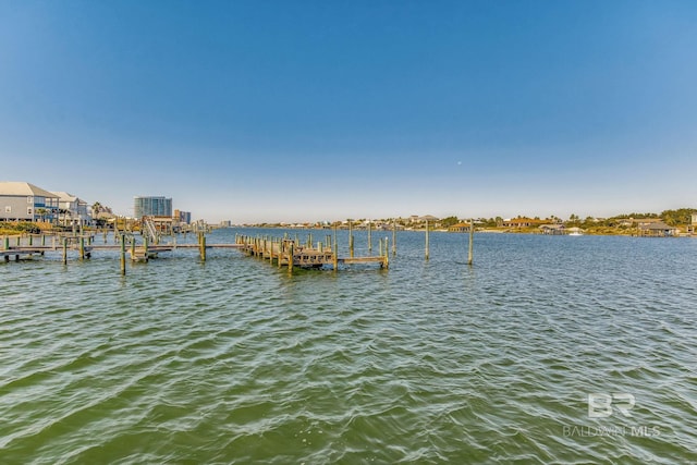 dock area featuring a water view