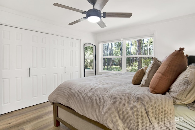 bedroom featuring a ceiling fan, a closet, and wood finished floors