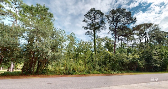 162 Orleans Dr, Dauphin Island, AL 36528