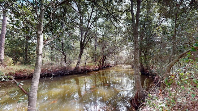 162 Orleans Dr, Dauphin Island, AL 36528