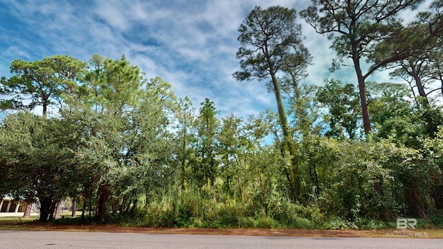 162 Orleans Dr, Dauphin Island, AL 36528