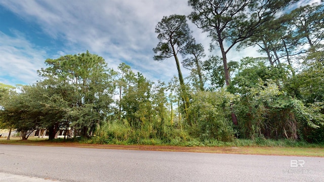 162 Orleans Dr, Dauphin Island, AL 36528