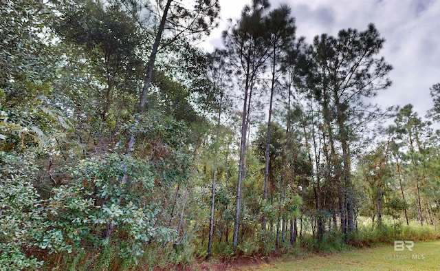 162 Orleans Dr, Dauphin Island, AL 36528