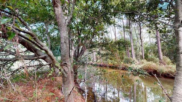 162 Orleans Dr, Dauphin Island, AL 36528