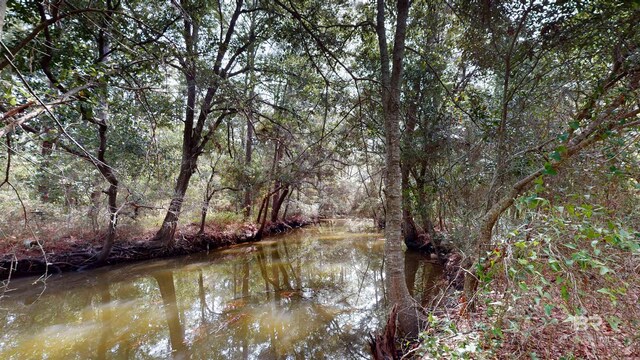 162 Orleans Dr, Dauphin Island, AL 36528