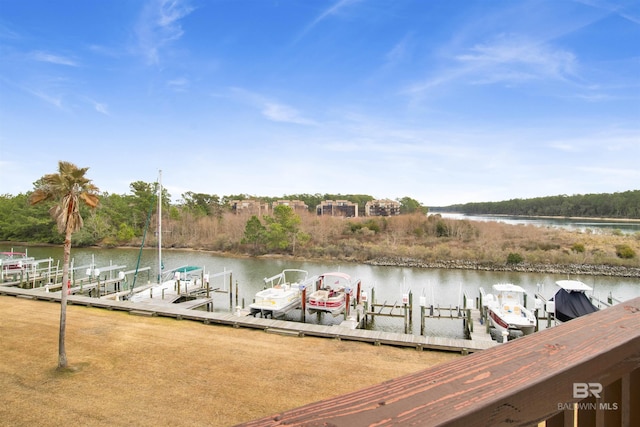 dock area with a water view