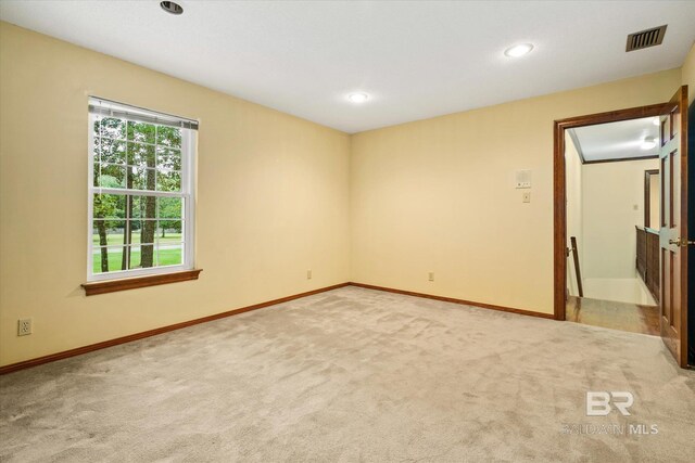 spare room with carpet