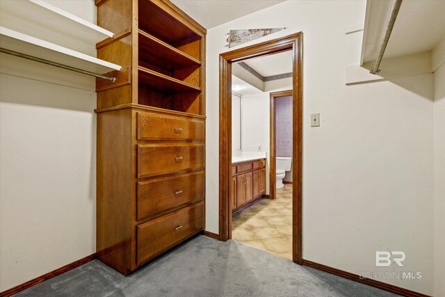 spacious closet featuring light colored carpet