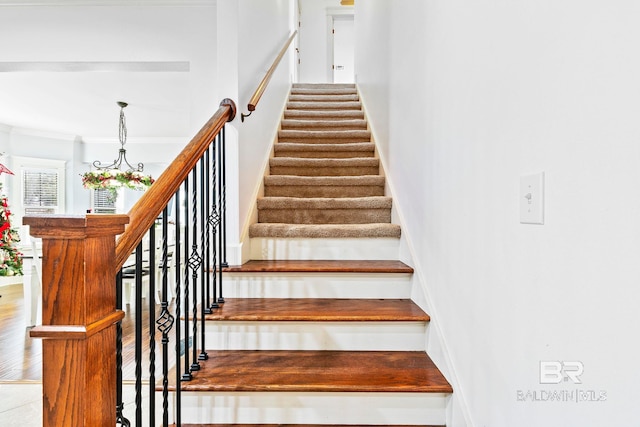 staircase featuring hardwood / wood-style flooring, a chandelier, and ornamental molding