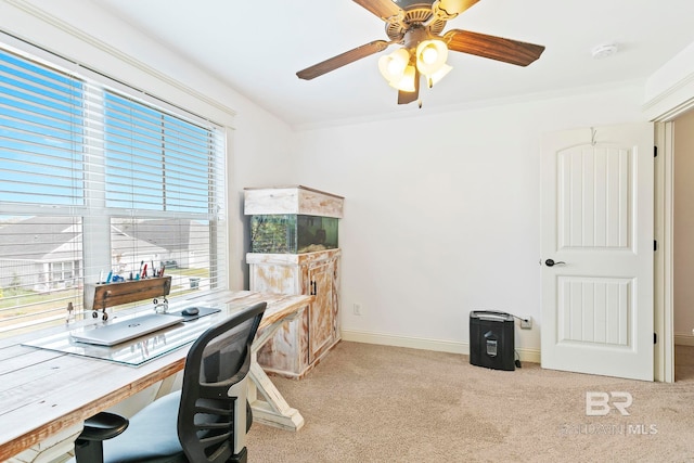 carpeted office featuring crown molding, plenty of natural light, and ceiling fan