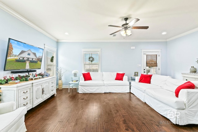 living room featuring ornamental molding, ceiling fan, and dark wood-type flooring