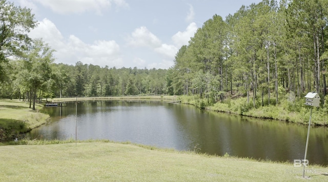 51600 State Highway 59, Bay Minette, AL 36507 - water view featuring a heavily wooded area