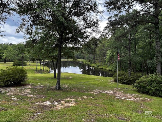 51600 State Highway 59, Bay Minette, AL 36507 - view of green lawn featuring a water view and a view of trees