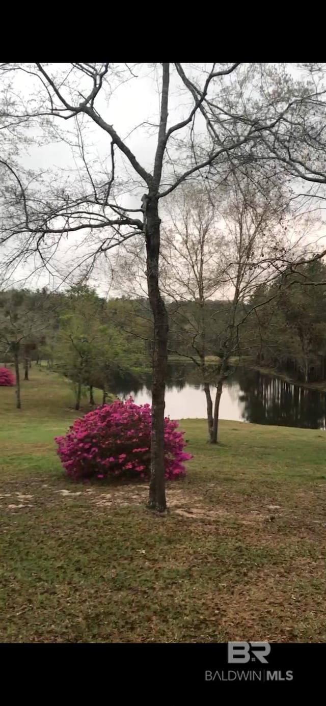 51600 State Highway 59, Bay Minette, AL 36507 - view of grassy yard with a water view