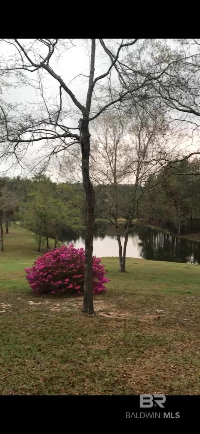 51600 State Highway 59, Bay Minette, AL 36507 - view of green lawn featuring a water view