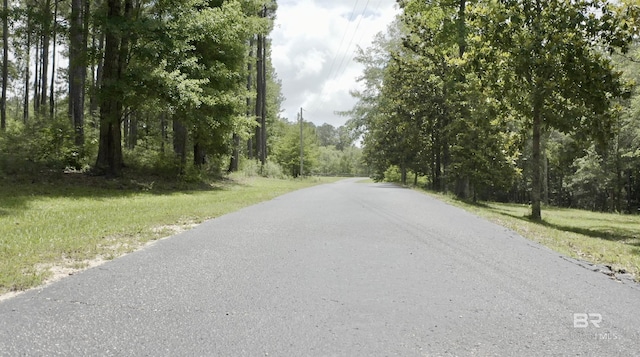 51600 State Highway 59, Bay Minette, AL 36507 - view of asphalt road
