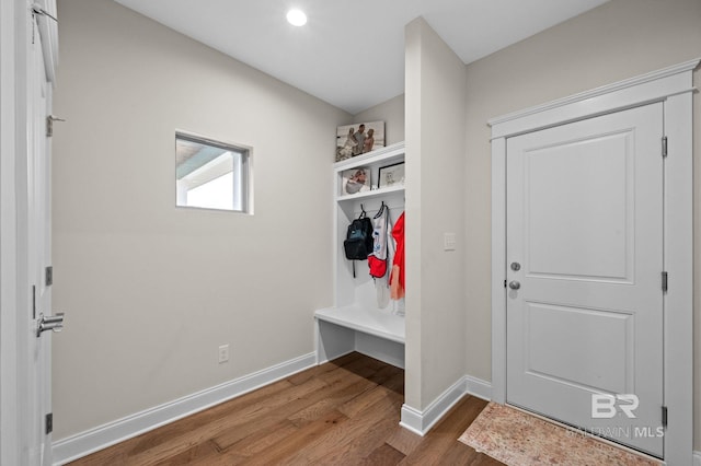 mudroom with wood-type flooring