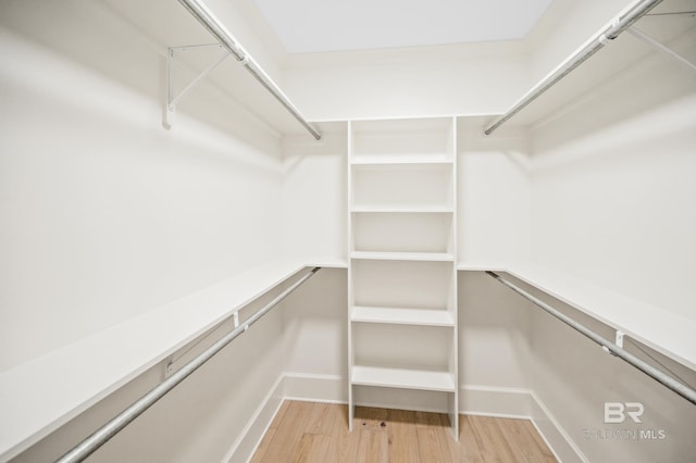 spacious closet featuring hardwood / wood-style floors