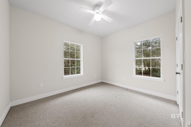 spare room with a wealth of natural light, baseboards, and carpet