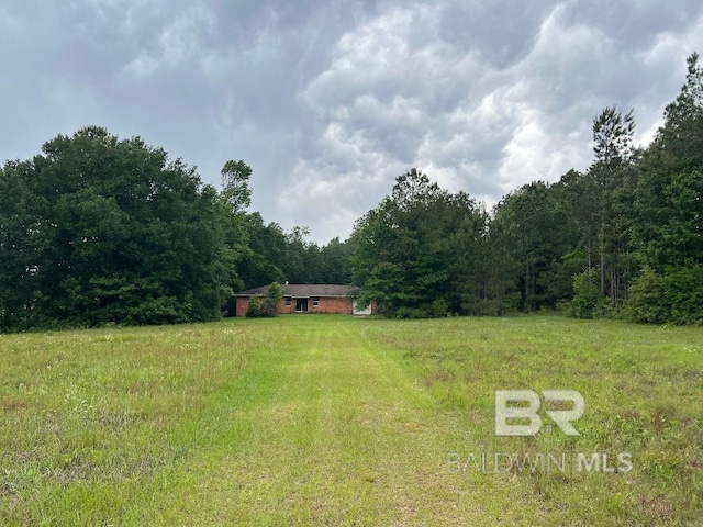view of yard featuring a wooded view and a view of rural / pastoral area