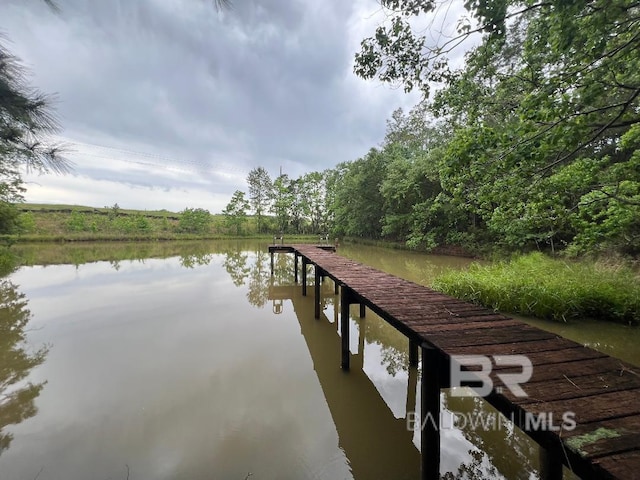 dock area featuring a water view and a view of trees