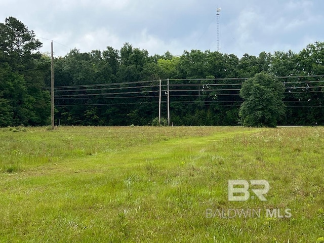 view of yard featuring a forest view