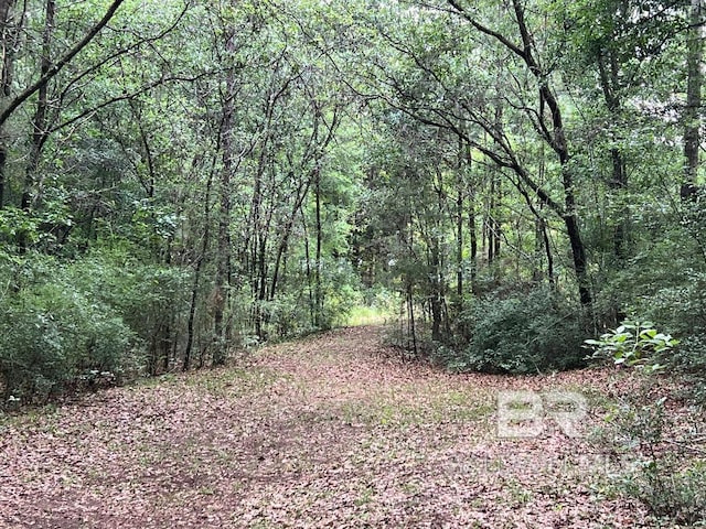 view of wooded area