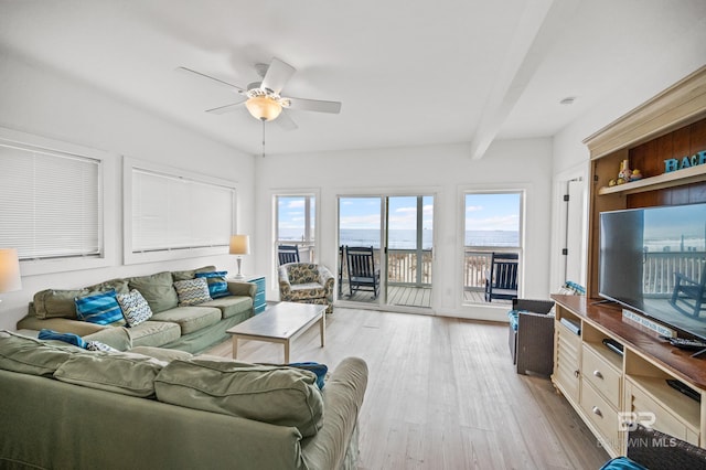 living room with beam ceiling, ceiling fan, and light wood-type flooring