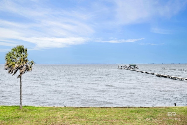 water view featuring a boat dock