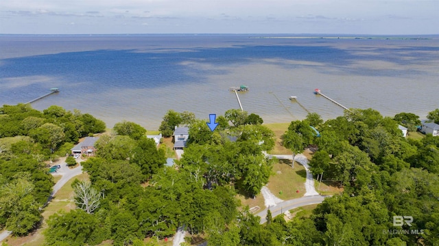 bird's eye view featuring a water view