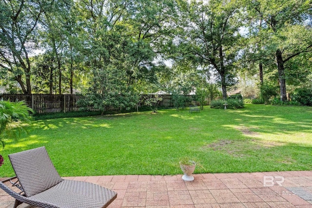 view of yard with a patio