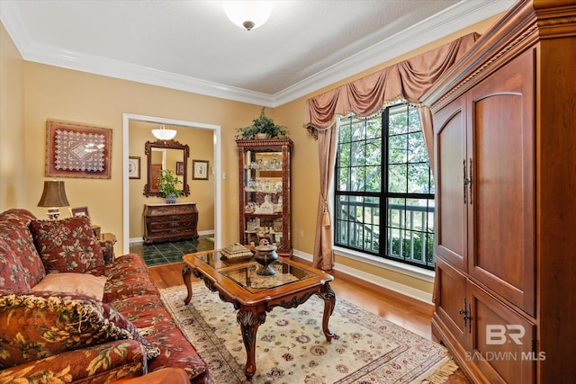 living room with ornamental molding and hardwood / wood-style flooring