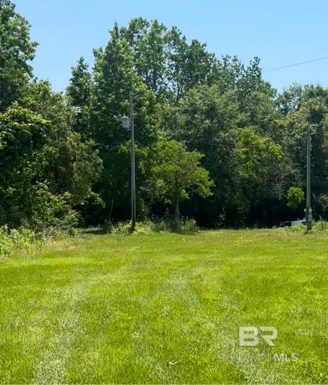 7382 Magnolia Springs Highway, Foley AL, 36535 land for sale