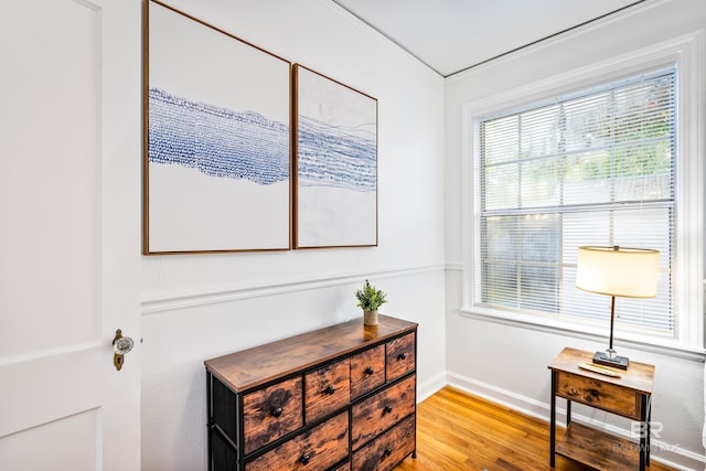 255 Pinehill Dr, Mobile, AL 36606 - detailed view of wood finished floors and baseboards