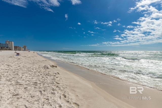 property view of water with a beach view