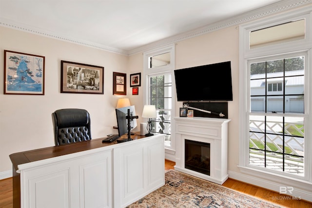 home office with light hardwood / wood-style flooring, plenty of natural light, and crown molding